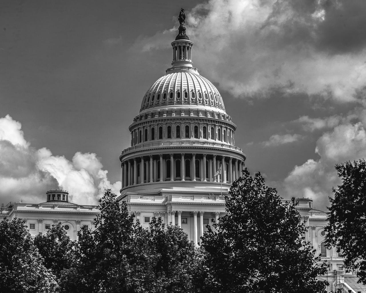 pexels-gonzalo-mendiola-9258468-min