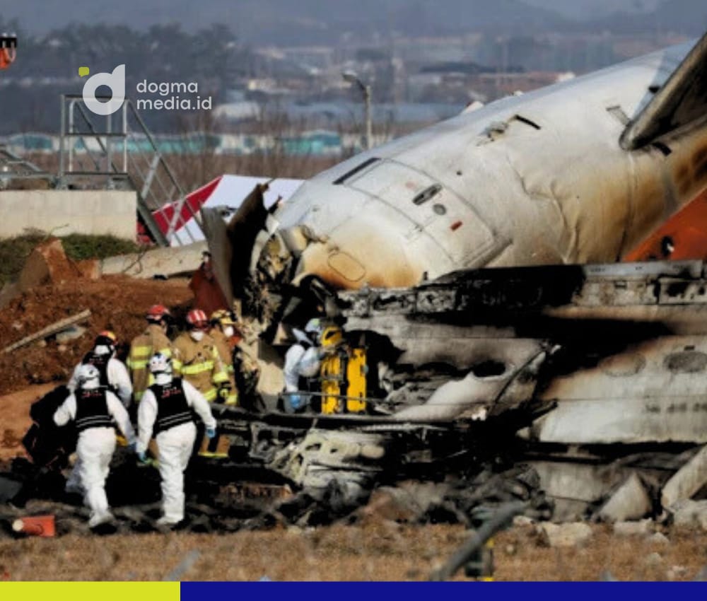 jeju air crash